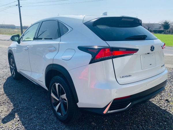 2017★LEXUS NX 300H - Image 6