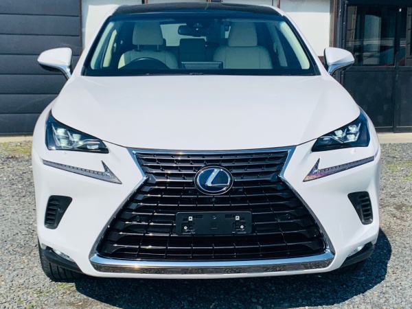 2017★LEXUS NX 300H - Image 7