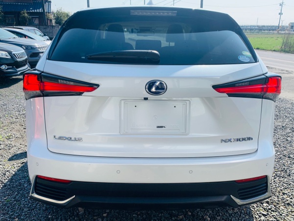 2017★LEXUS NX 300H - Image 8