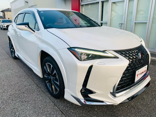 2023 LEXUS UX250h