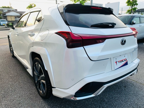 2023 LEXUS UX250h - Image 6